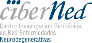 Network Center for Biomedical Research in Neurodegenerative Diseases (CIBERNED)