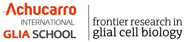Achucarro International GLIA SCHOOL | frontier research in glial cell biology
