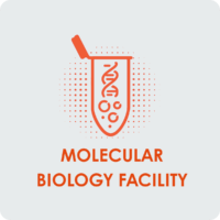 Facility_Molecular+Biology