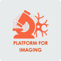 Imaging_Platform