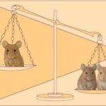 lab_comparative_neuroscience
