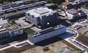 news_birds_eye_leioa